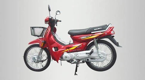 ANDES CUB Bike 110 Series(001)